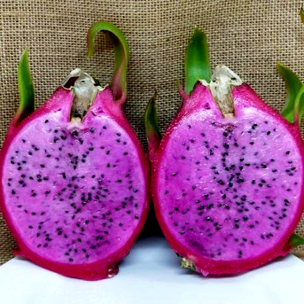 Dragon Fruit Delight