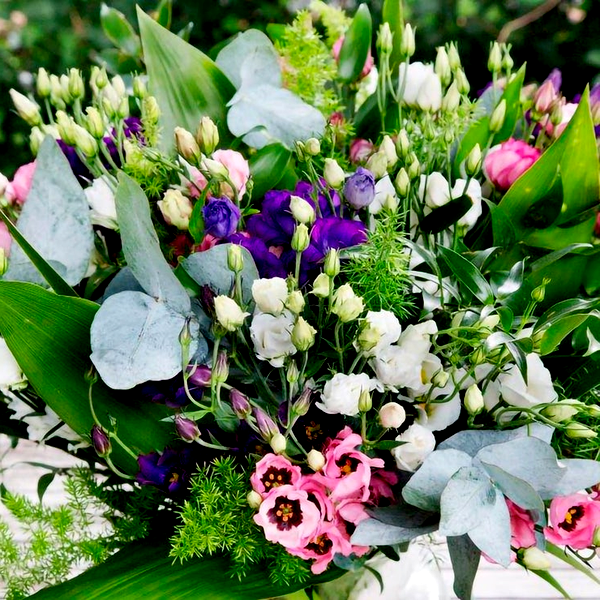 Minilisi® Mix Lisianthus Flower Seeds