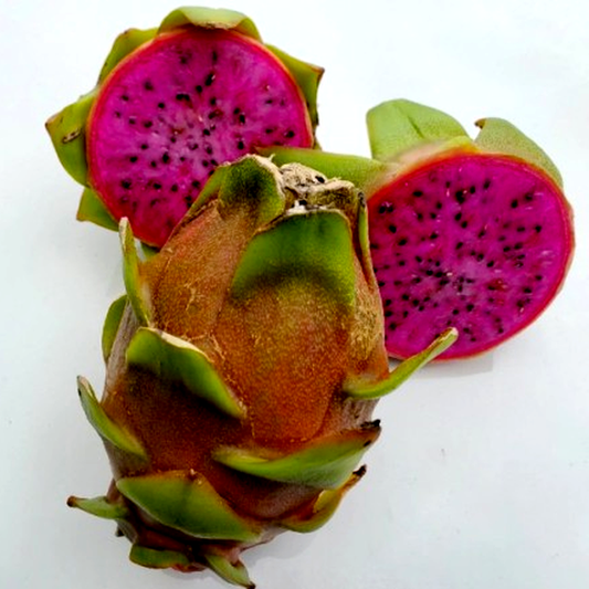 Dragon Fruit “Asunta 3”