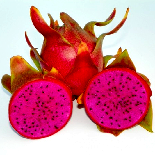 Dragon Fruit Cosmic Charlie
