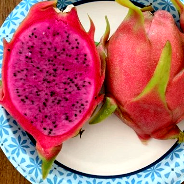 Dragon Fruit Dark Star