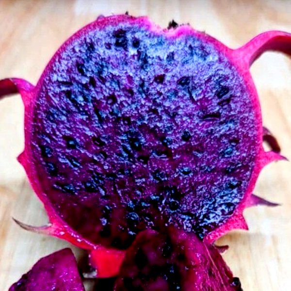 Dragon Fruit Red Jaina